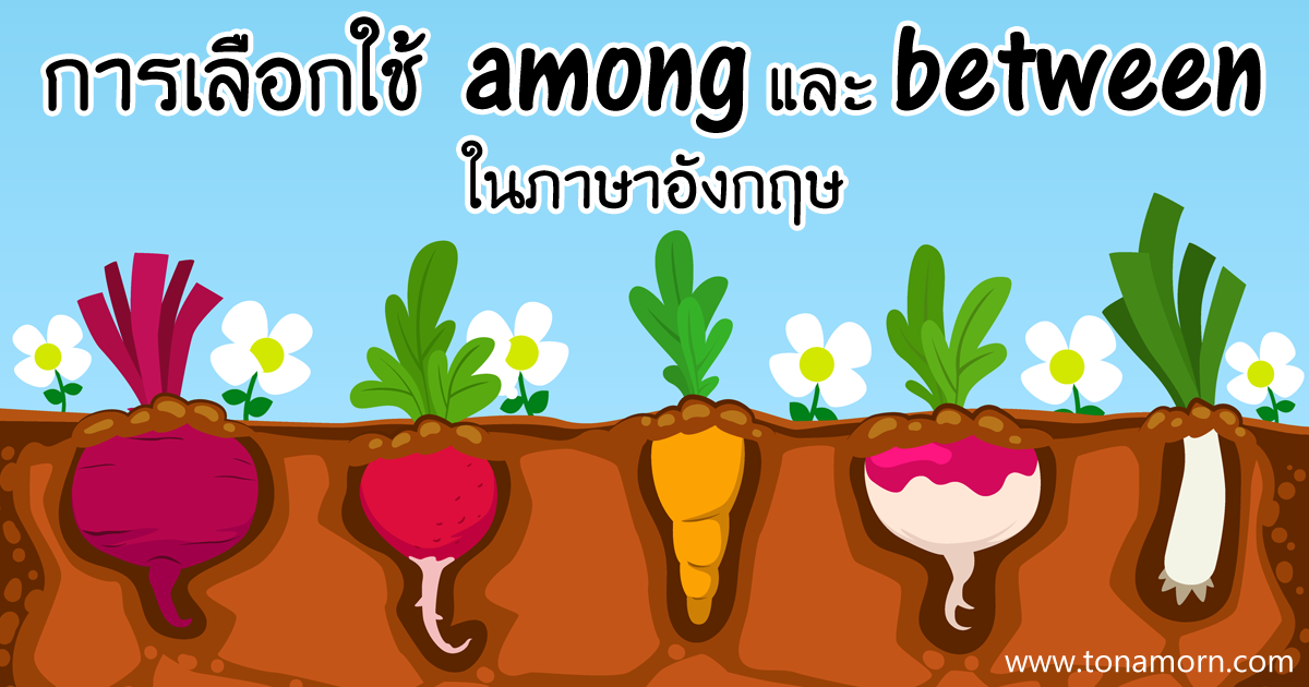 BetweenAmongEnglishGrammarAjarnTonAmorn.png