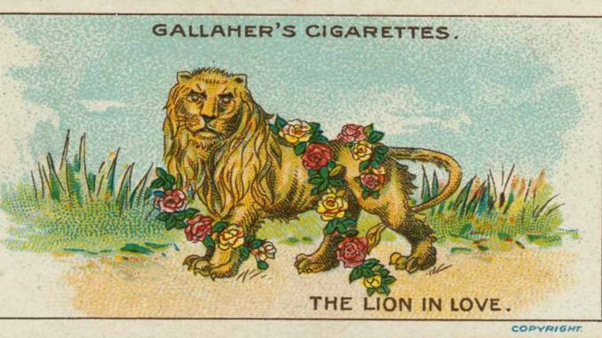 TheLionInLoveEnglishTonAmorn
