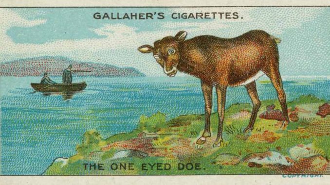 TheOneEyedDoeEnglishTonAmorn