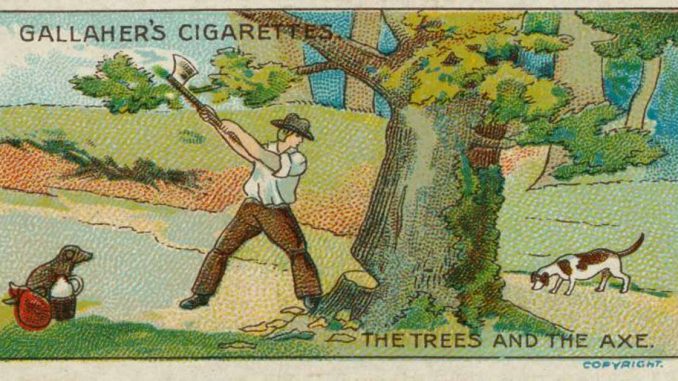 TheTreesAndTheAxeEnglishTonAmorn