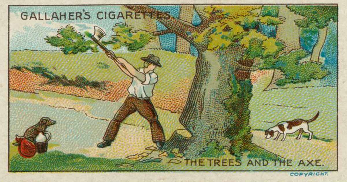 TheTreesAndTheAxeEnglishTonAmorn นิทานภาษาอังกฤษ ต้นไม้กับขวาน