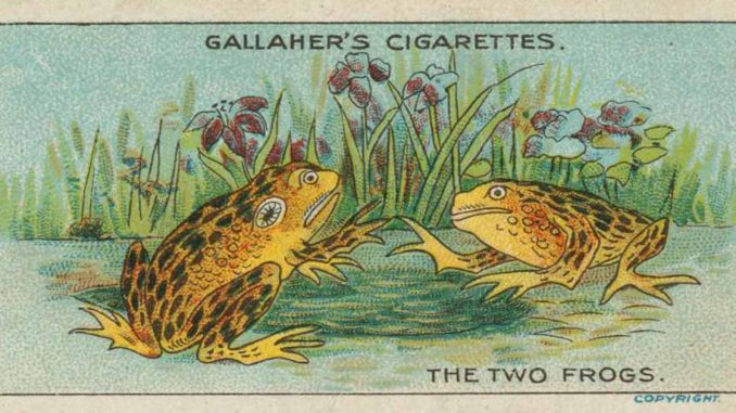 TheTwoFrogsEnglishTonAmorn