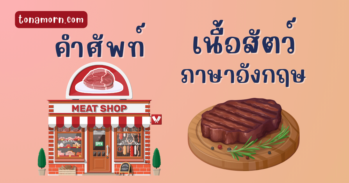 คำศัพท์เนื้อสัตว์ภาษาอังกฤษ